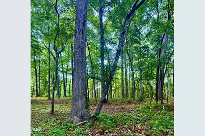 604 Appaloosa Trail, Bahama, NC 27503 - Photo 2