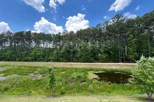 1304 Southpoint Trl, Durham, NC 27713 - Photo 76