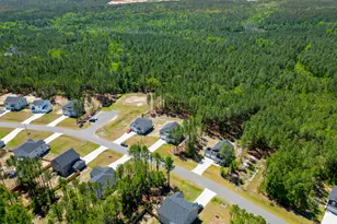 164 Rocking horse Ln, Sanford, NC 27332 - Photo 48