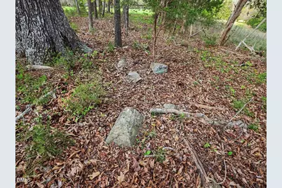 7793 Ridgeville Road, Leasburg, NC 27291 - Photo 82