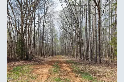 7793 Ridgeville Road, Leasburg, NC 27291 - Photo 28