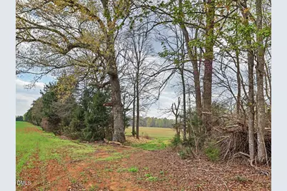 7793 Ridgeville Road, Leasburg, NC 27291 - Photo 52
