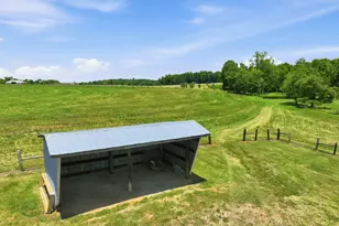 7312 Holly Ridge Rd, Rougemont, NC 27572 - Photo 44