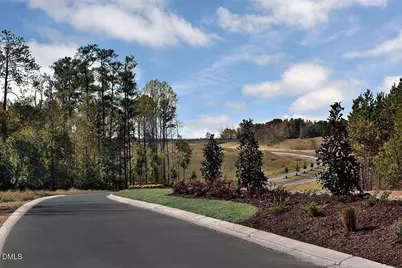 309 Diamond Bluff Lane, Holly Springs, NC 27540 - Photo 44