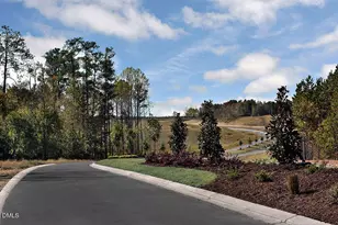 309 Diamond Bluff Ln, Holly Springs, NC 27540 - Photo 44