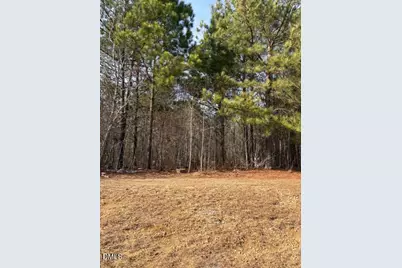 206 Hope Street, Erwin, NC 28339 - Photo 10