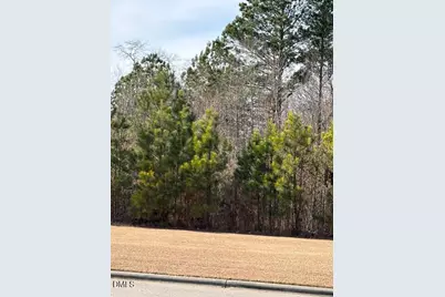 0 Saint Matthews Road, Erwin, NC 28339 - Photo 2