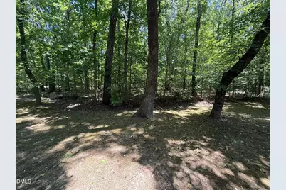 113 Chambers Road, Rougemont, NC 27572 - Photo 12