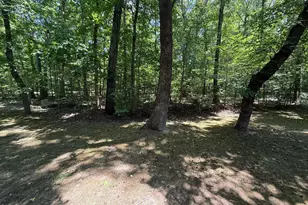113 Chambers Rd, Rougemont, NC 27572 - Photo 12