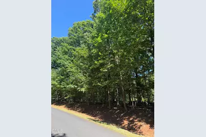 0 Pine Forest Drive S, Siler City, NC 27344 - Photo 4