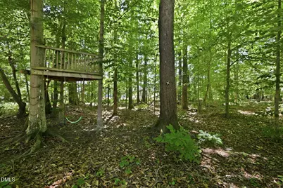 128 Bragg Lane, Hurdle Mills, NC 27541 - Photo 28