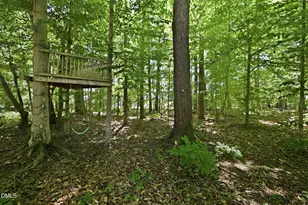 128 Bragg Ln, Hurdle Mills, NC 27541 - Photo 28