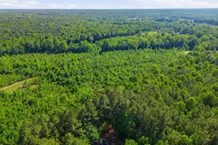 224 Grandpa Way, Spring Hope, NC 27882 - Photo 30