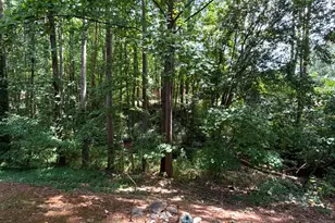 1851 Trailwood Heights Ln, Raleigh, NC 27603 - Photo 34