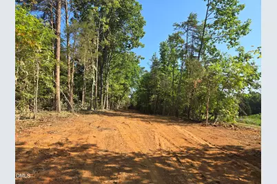1507 White Drive, Snow Camp, NC 27349 - Photo 38