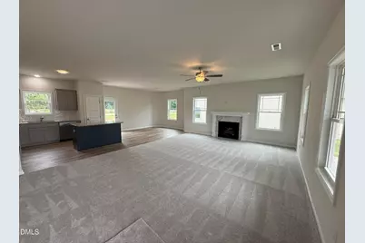 53 Flatland Drive, Princeton, NC 27569 - Photo 6