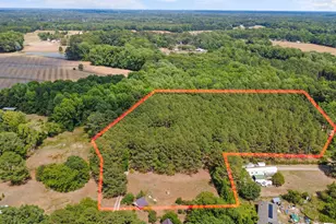 3928 Billy Hopkins Rd, Zebulon, NC 27597 - Photo 2