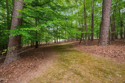 9913 Longford Drive, Raleigh, NC 27615 - Photo 68