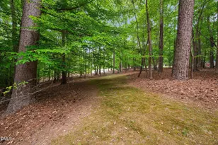 9913 Longford Dr, Raleigh, NC 27615 - Photo 68