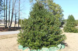 75 Joe Denton Rd, Louisburg, NC 27549 - Photo 18