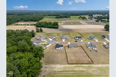 161 Grace Rdg Court, Benson, NC 27504 - Photo 20