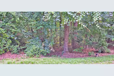 913 S Windrace Trail, Sanford, NC 27332 - Photo 2