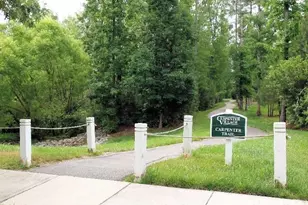 108 Linden Park Ln, Cary, NC 27519 - Photo 28