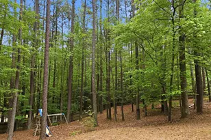 424 Grosvenor Dr, Raleigh, NC 27615 - Photo 34