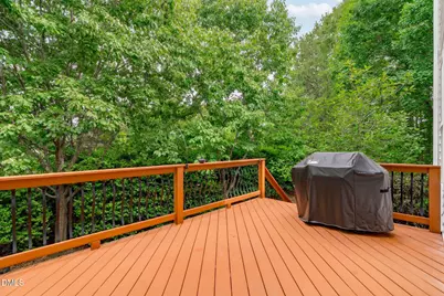 1200 Xanthacarpa Court, Apex, NC 27502 - Photo 46