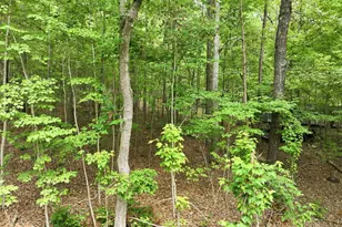 1841 Dots Dr, Hillsborough, NC 27278 - Photo 1