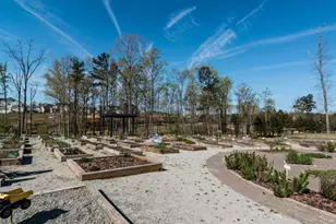 137 Lucky Ribbon Ln, Holly Springs, NC 27540 - Photo 46