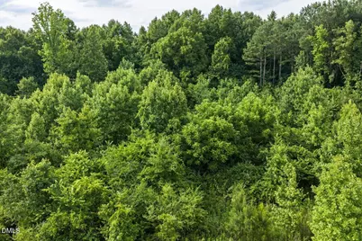 0 Lot 3 Shepard Road, Norlina, NC 27563 - Photo 16