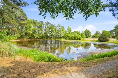3924 Lewis Road, Snow Camp, NC 27349 - Photo 2