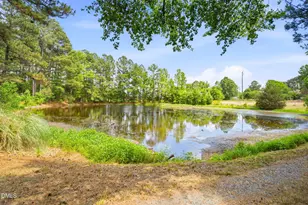 3924 Lewis Rd, Snow Camp, NC 27349 - Photo 2