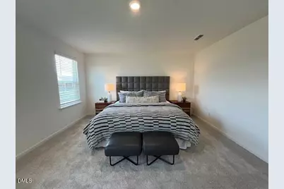 525 Purple Aster Street, Youngsville, NC 27596 - Photo 8
