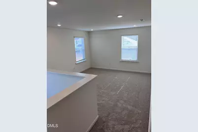525 Purple Aster Street, Youngsville, NC 27596 - Photo 12