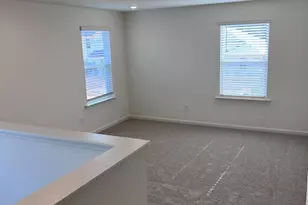 525 Purple Aster St, Youngsville, NC 27596 - Photo 12