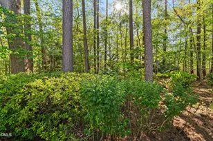6017 Dodsworth Dr, Raleigh, NC 27612 - Photo 60