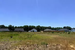 200 Jackson Rdg Wy, Pikeville, NC 27863 - Photo 2