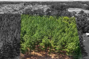 2421 Marks Creek Rd, Knightdale, NC 27545 - Photo 1