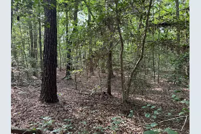 0 Alton Road, Eagle Springs, NC 27242 - Photo 6