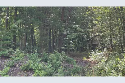 3016 Carver Road, Rougemont, NC 27572 - Photo 4