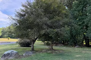 81 Alleghany Dr, Roxboro, NC 27573 - Photo 54