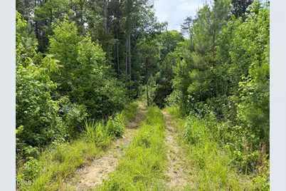 0 John Robert Headen Road, Moncure, NC 27559 - Photo 12
