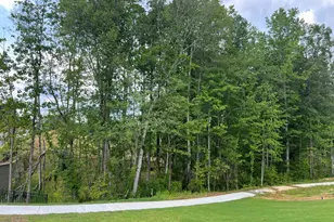 33 Blackbird Drive, Angier, NC 27501 - Photo 6