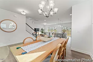 33 Blackbird Drive, Angier, NC 27501 - Photo 14