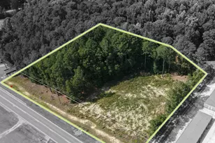 1287 S Nc-50 S, Benson, NC 27504 - Photo 1