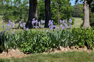 5258 Snow Camp Rd, Graham, NC 27253 - Photo 2