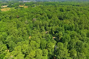 41 Glendale Dr, Pittsboro, NC 27312 - Photo 44
