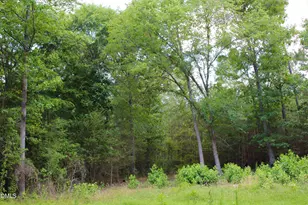 1920 Alston Chapel Rd, Pittsboro, NC 27312 - Photo 1